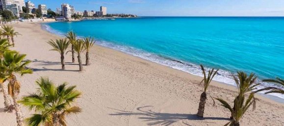 3 bedrooms Villa in San Juan, Spain No. 2655 21