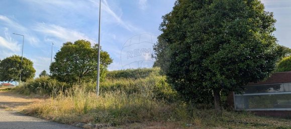  Land in Argoncilhe, Portugal No. 224501 5