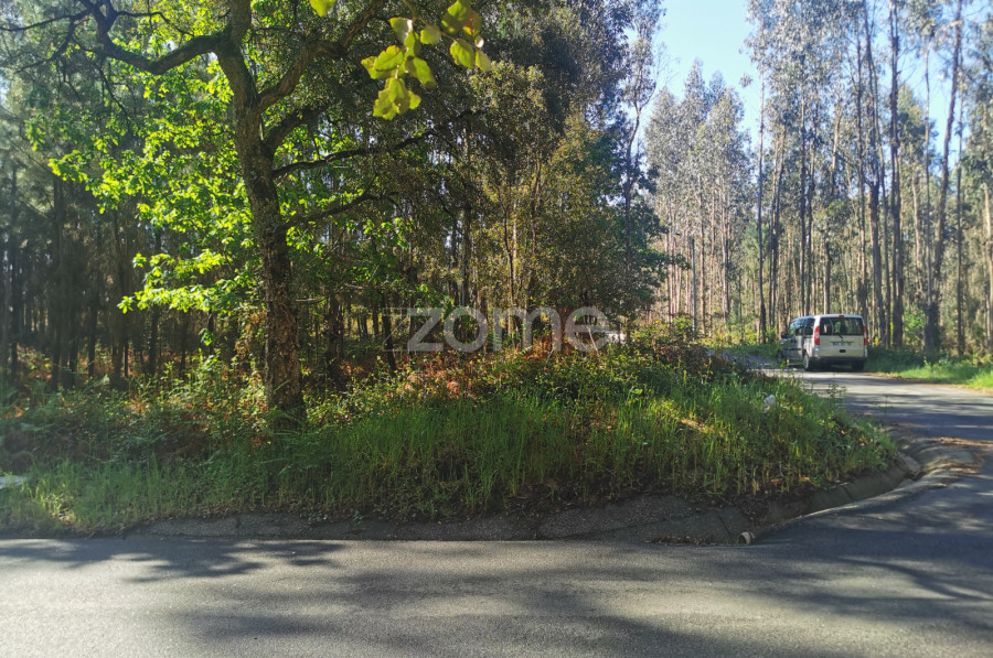  Land in Agueda, Portugal No. 80511