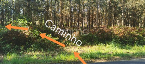  Land in Agueda, Portugal No. 80511 2