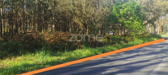  Land in Agueda, Portugal No. 80511 4