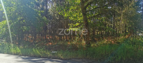  Land in Agueda, Portugal No. 80511 5