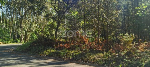  Land in Agueda, Portugal No. 80511 6