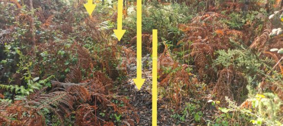  Land in Agueda, Portugal No. 80511 3