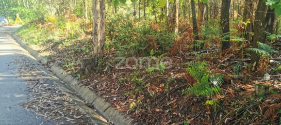  Land in Agueda, Portugal No. 80511 8