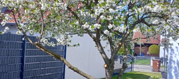 3 Schlafzimmer Haus in Augsburg, Germany, Nr. 119832 5