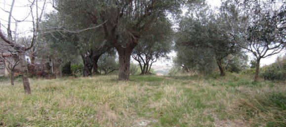 15-Zimmer Haus in Cingoli, Italy, Nr. 238547 41