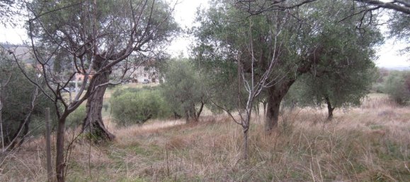 15-Zimmer Haus in Cingoli, Italy, Nr. 238547 39