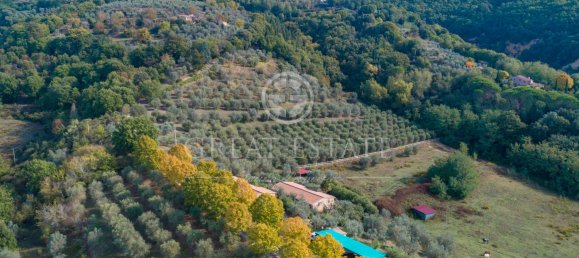 11 غرف نوم منزل في Città della Pieve, Italy رقم 56087 10