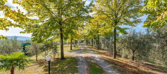 11 غرف نوم منزل في Città della Pieve, Italy رقم 56087 16