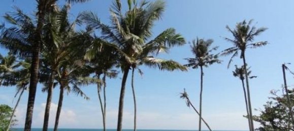 2 Schlafzimmer Villa in Canggu, Indonesia, Nr. 2867 2