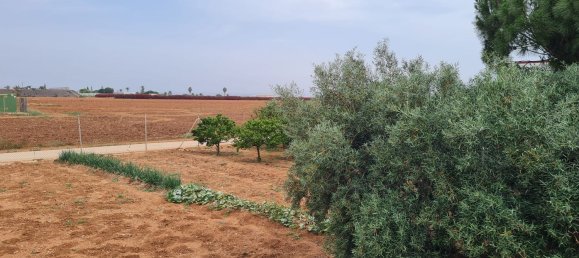 3 Schlafzimmer Haus in Cartagena, Spain, Nr. 158657 37