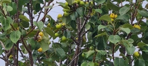 3 Schlafzimmer Haus in Cartagena, Spain, Nr. 158657 21