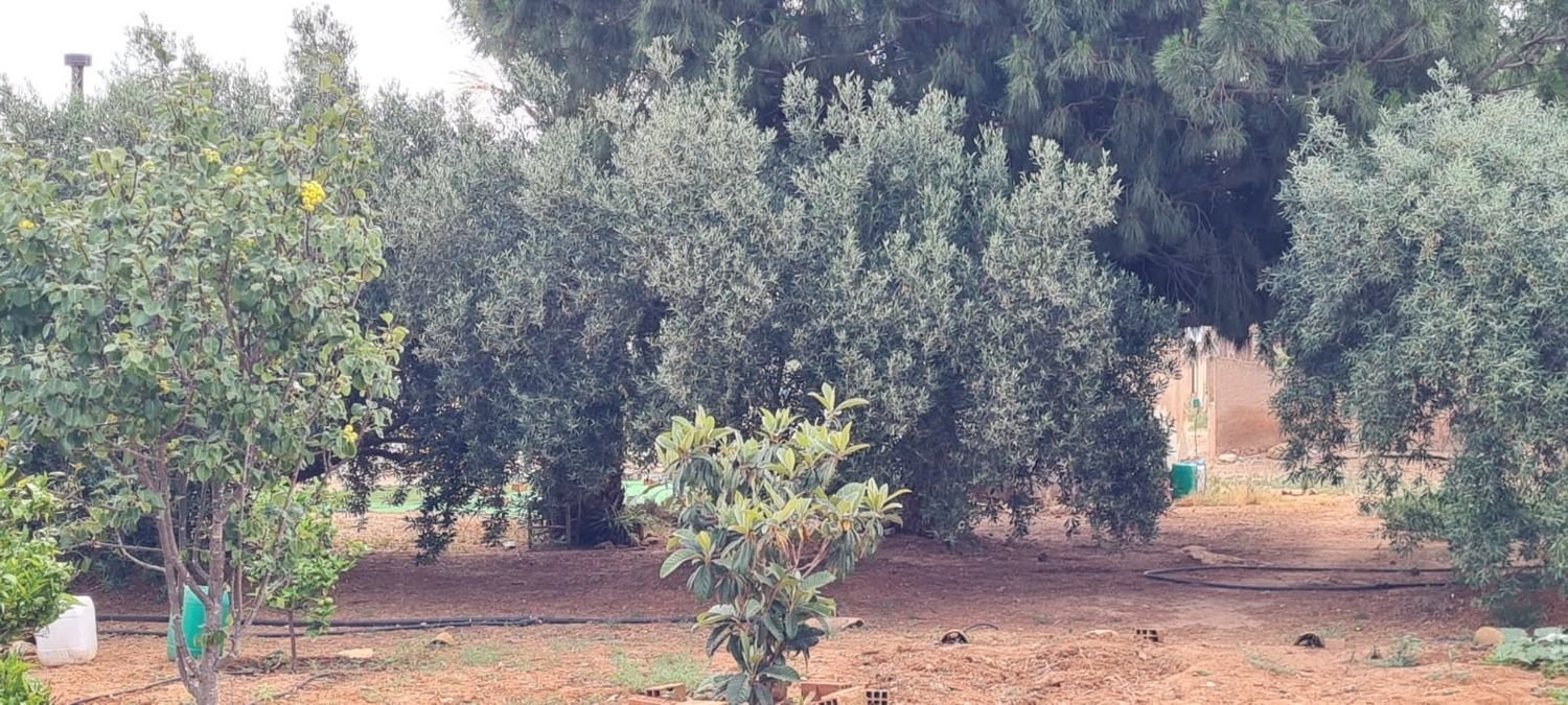 3 Schlafzimmer Haus in Cartagena, Spain, Nr. 158657