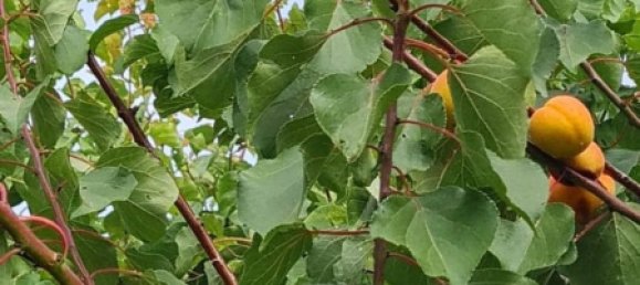 3 Schlafzimmer Haus in Cartagena, Spain, Nr. 158657 42