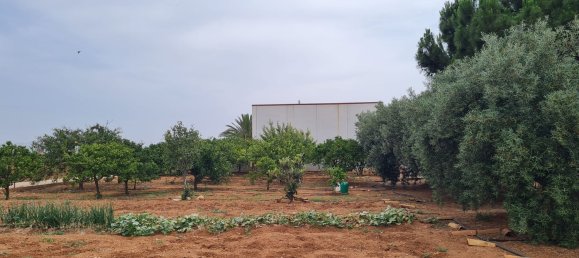 3 Schlafzimmer Haus in Cartagena, Spain, Nr. 158657 66