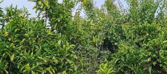 3 Schlafzimmer Haus in Cartagena, Spain, Nr. 158657 17