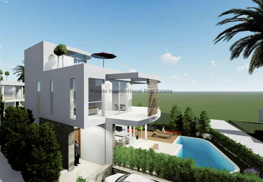 4 غرف نوم فيلا في Chloraka, Cyprus رقم 1024