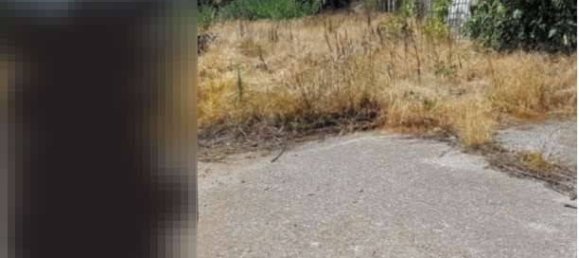 Studio in Isola della Scala, Italy No. 259527 11