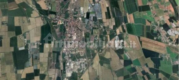 Studio in Isola della Scala, Italy No. 259527 21