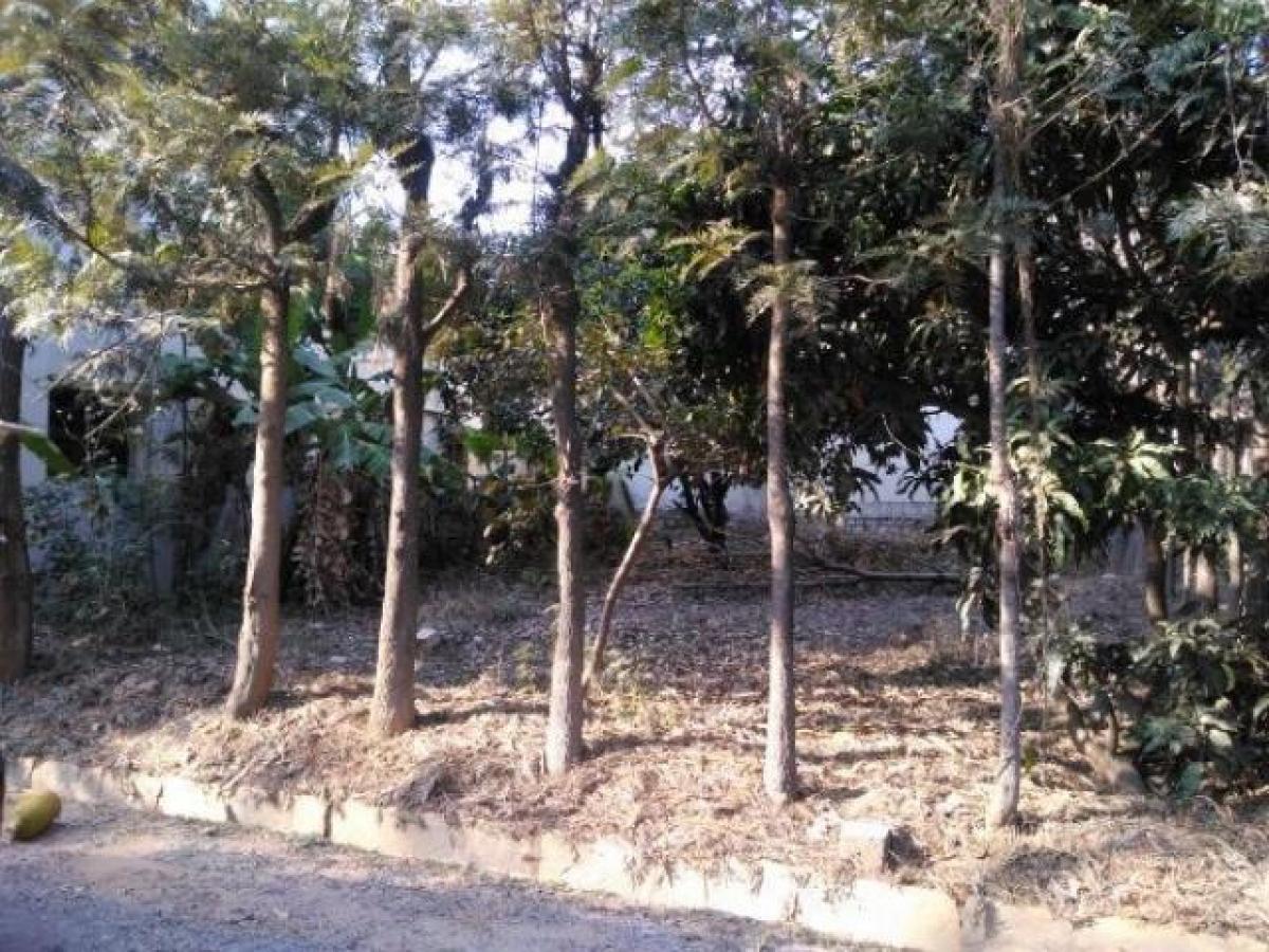 Terrain à Bangalore, India No. 30795