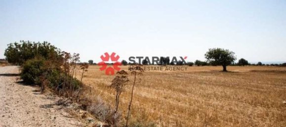 28438m² Hotel in Agios Theodoros, Cyprus No. 21520 3