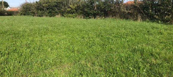 Grundstück in Saint-Philbert-de-Grand-Lieu, France 10045m², Nr. 100012 2