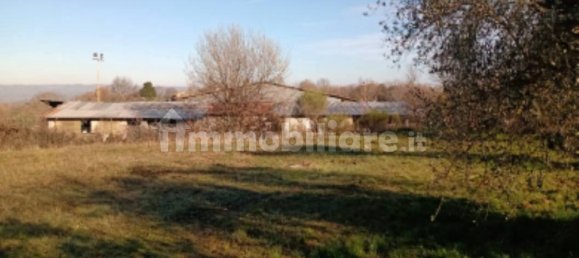 1 room Commercial property in Viterbo, Italy No. 315298 14