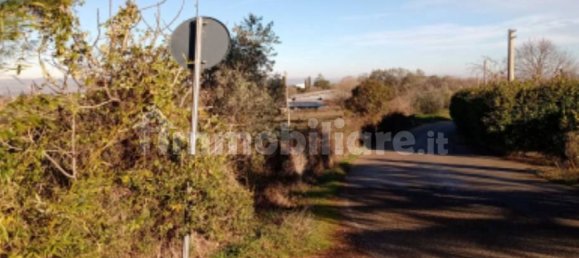 1 room Commercial property in Viterbo, Italy No. 315298 3