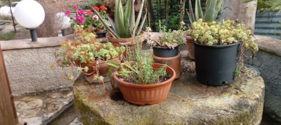 11-Zimmer Villa in Civitavecchia, Italy, Nr. 297137 4