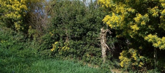 11-Zimmer Villa in Civitavecchia, Italy, Nr. 297137 16