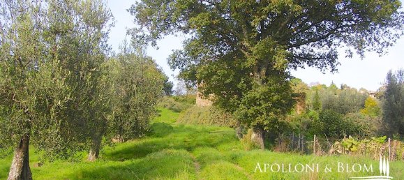 12 rooms House in Umbertide, Italy No. 54554 7