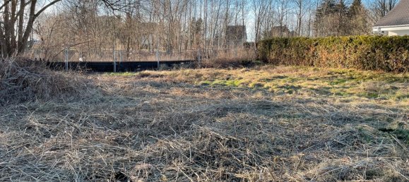 Земельный участок в Даме-Шпревальд, Германия № 229716 5