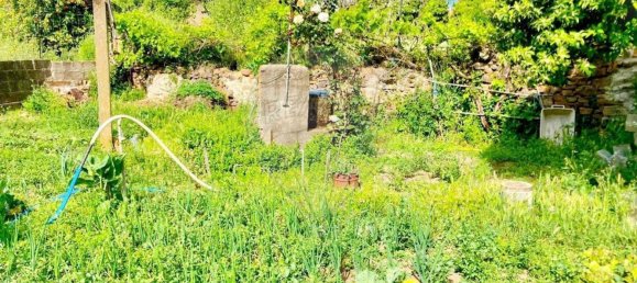 5 bedrooms House in Monforte da Beira, Portugal No. 166996 7