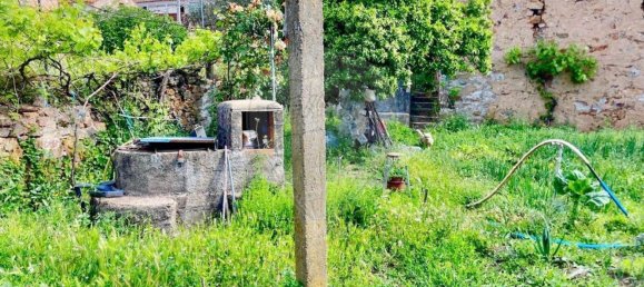 5 bedrooms House in Monforte da Beira, Portugal No. 166996 9