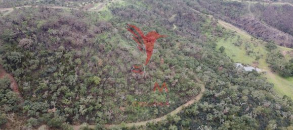 2 غرف نوم قلاع في Colos, Portugal رقم 55713 25