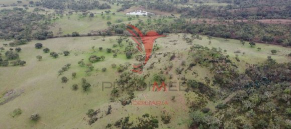 2 غرف نوم قلاع في Colos, Portugal رقم 55713 14