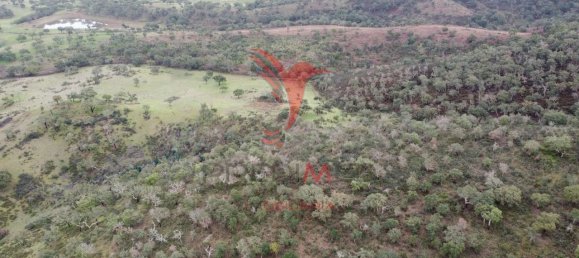 2 غرف نوم قلاع في Colos, Portugal رقم 55713 22