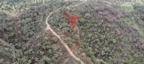 2 غرف نوم قلاع في Colos, Portugal رقم 55713 27