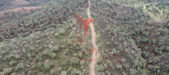 2 غرف نوم قلاع في Colos, Portugal رقم 55713 26