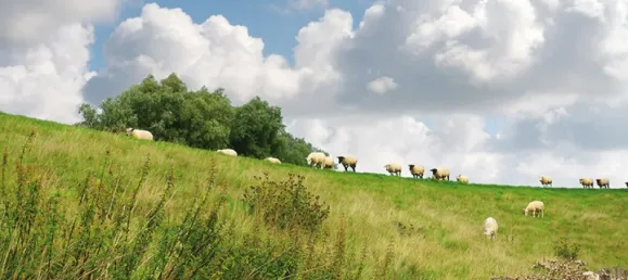 5 rooms House in Steinburg, Germany No. 25670 35