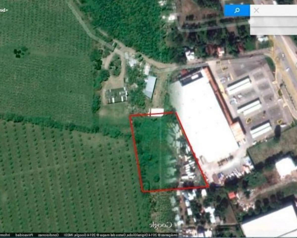 10195m² Building in Tijuana, Mexico No. 201576