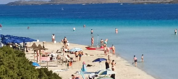 4-salle Appartement à Stintino, Italy No. 51536 3