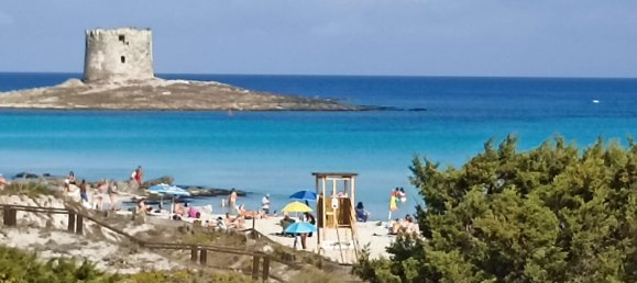 4-salle Appartement à Stintino, Italy No. 51536 6