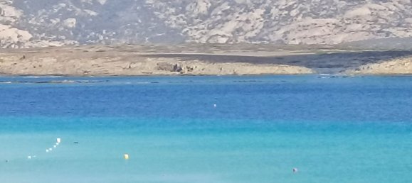 4-salle Appartement à Stintino, Italy No. 51536 4