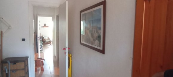 4-salle Appartement à Stintino, Italy No. 51536 39