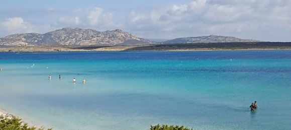 4-salle Appartement à Stintino, Italy No. 51536 5