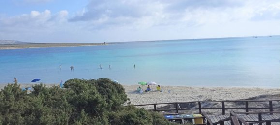 4-salle Appartement à Stintino, Italy No. 51536 7