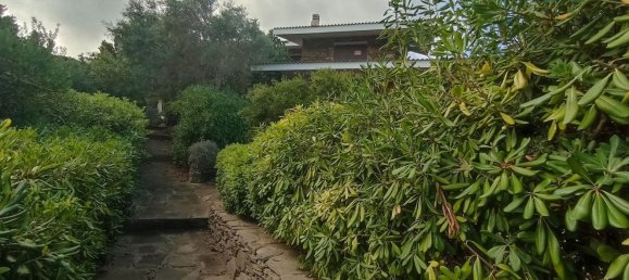 4-salle Appartement à Stintino, Italy No. 51536 11