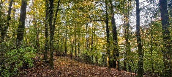 Вилла с 9 спальнями в Линц, Австрия № 32381 4